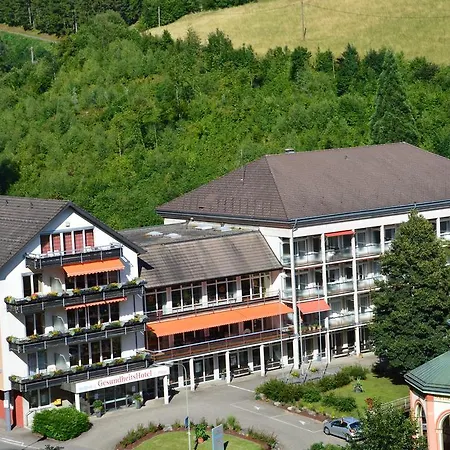 Gesundheitshotel Hotel