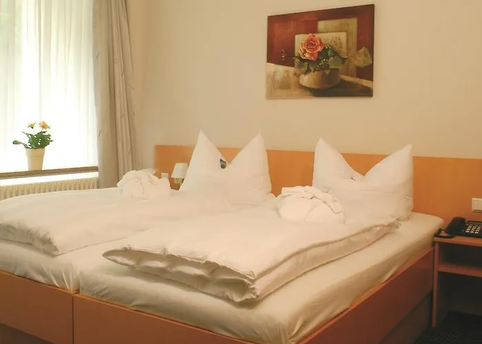 Gesundheitshotel 3* Bad Peterstal-Griesbach